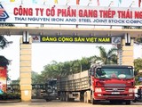 Chuyển sai phạm dự án cải tạo Nhà máy Gang thép Thái Nguyên đến Ủy ban Kiểm tra Trung ương xử lý theo thẩm quyền