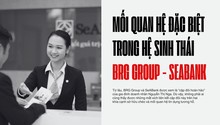 Mối quan hệ “đặc biệt” trong hệ sinh thái BRG Group và SeABank