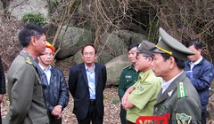 Cơ quan chức năng Đà Nẵng lại phát hiện thêm một vụ phá rừng nghiêm trọng tại Khu bảo tồn thiên nhiên Sơn Trà