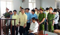 Sau hai ngày đưa ra xét xử công khai vụ phá rừng đặc dụng Bà Nà-Núi Chúa, TAND huyện Hoà Vang đã tuyên trả hồ sơ điều tra lại vì có dấu hiệu bỏ lọt tội phạm.