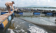 TAND TP Vũng Tàu vừa tuyên án buộc 11 doanh nghiệp chế biến hải sản tại Tân Hải bồi thường cho các hộ nuôi cá lồng ở Long Sơn số tiền hơn 13,2 tỷ đồng vì hành vi xả thải.