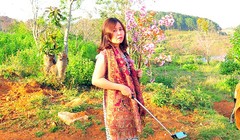 UBND tỉnh Bình Thuận đã có văn bản khẩn và yêu cầu bà Phạm Thị Minh Hiếu, Phó Giám đốc Sở Tư pháp Bình Thuận xin lỗi công khai liên quan đến vụ việc "bẻ hoa" Mai Anh Đào tại Đà Lạt (Lâm Đồng) (ảnh Tuổi Trẻ)