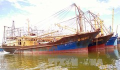 Nhiều câu hỏi lớn từ việc hàng loạt tàu cá vỏ thép ở Bình Định bị hư hỏng