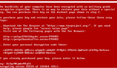 Khóa giải mã giúp giải cứu dữ liệu cho người dùng nhiễm Petya không hiệu quả với biến thể NotPetya.