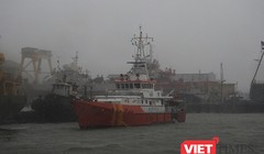 Tàu SAR412 cứu thành công 11 ngư dân và tàu cá bị nạn khi di chuyển trách bãi số 10