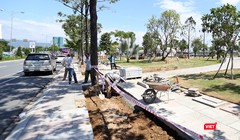 Chủ tịch UBND TP Đà Nẵng vừa có văn bản yêu cầu tổng kiểm tra, rà soát chất lượng thi công lát gạch vỉa hè tại một số tuyến đường phục vụ APEC.