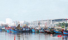 Chính phủ vừa ban hành Nghị định 17/2018/NĐ-CP sửa đổi, bổ sung một số điều của Nghị định số 67/2014/NĐ-CP ngày 07/7/2014 của Chính phủ về một số chính sách phát triển thủy sản với nhiều chính sách hỗ trợ nhằm đẩy mạnh phát triển thủy sản