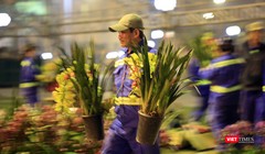 Chủ vườn lan đã bất ngờ tặng các anh chị lao công những giò lan tiền triệu là hình ảnh đẹp sau đêm giao thừa ở Đà Nẵng