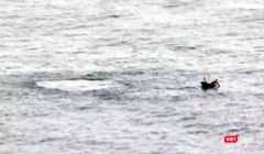 Sáng 31/3, nhiều người mê ảnh đã bất ngờ khi chứng kiến cảnh một chiếc thuyền không có số hiệu dùng mìn đánh cá ngay dưới chân rạn san hôn dưới chân núi Sơn Trà.