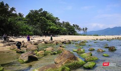 Đà Nẵng đã rà soát điều chỉnh quy hoạch dự án Khu du lịch sinh thái Nam Ô do Tập đoàn Trung Thủy làm chủ đầu tư từ 36ha chỉ còn 26ha. Tách ghềnh Nam Ô ra khỏi phạm vi dự án để bảo tồn khu vực sinh thái công cộng.