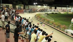 Đà Nẵng dành 580.000m2 quỹ đất làm trường đua chó, đua ngựa ở quận Cẩm Lệ (ảnh minh họa vntrip.vn)