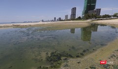 Cận cảnh một cống xả nước thải ra biển Đà Nẵng trên địa bàn Sơn Trà