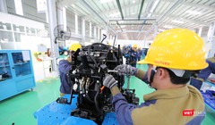 Các doanh nghiệp trên địa bàn tỉnh đã có báo cáo về tình hình thưởng Tết cho công nhân lao động trong dịp Tết Nguyên đán Kỷ Hợi 2019