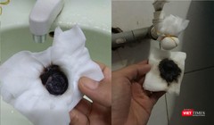 Dư luận và người dân Đà Nẵng mấy ngày nay lo lắng về chất lượng nước sinh hoạt khi chứng kiến cặn bẩn và vị lợ. (Ảnh: Nguyệt Cát)