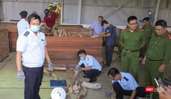 Cơ quan chức năng kiểm đếm lô hàng ngà voi nhậu lậu tại cảng Đà Nẵng