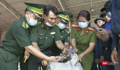 Lực lượng chức năng Đà Nẵng đang kiểm tra lô hàng thảo dược núp bóng rau củ nhập cảnh