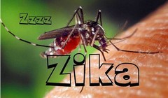 Tại Việt Nam đã phát hiện 5 trường hợp nhiễm virus Zika