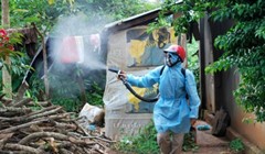 Số ca nhiễm vi rút Zika liên tục gia tăng tại TP HCM