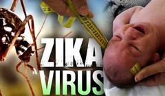Tốc độ lây nhiễm vi rút Zika tại TP HCM cao.