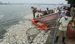 Xung quanh Hồ Tây có nhiều cống xả thải (Ảnh minh họa)