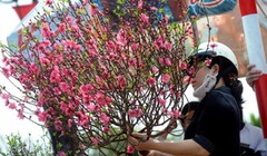 Ảnh minh họa, nguồn internet