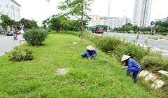 Ảnh minh họa, nguồn internet