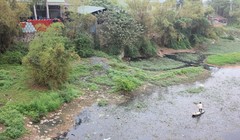 Ô nhiễm sông Đáy (Ảnh: Quang Vững)