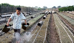 Ảnh minh họa, nguồn internet