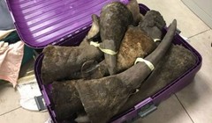 Cơ quan chức năng phát hiện khoảng 100 kg nghi sừng tê giác tại sân bay Nội Bài.