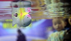 Ảnh minh họa. (Nguồn: chinadaily.com)