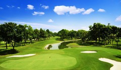 Ảnh minh họa, nguồn internet.