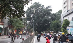 Hà Nội phê duyệt chỉ giới đường đỏ tuyến phố Vũ Trọng Phụng - Ảnh: VnMedia