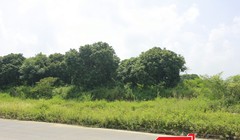 Các bộ, ngành, địa phương cùng tập trung triển khai Luật Quy hoạch - Ảnh minh họa.