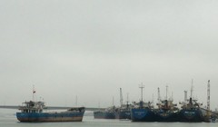 Ảnh minh họa/ Nguồn TTXVN.