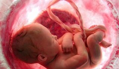 Video tái hiện quá trình hình thành của một con người