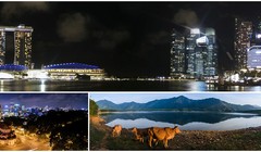 Hướng dẫn ghép ảnh Panorama thủ công: Chất lượng & độ phân giải cao, hữu dụng cho điện thoại