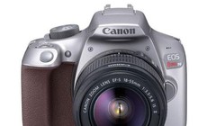 Canon EOS Rebel T6 có thêm bản màu xám