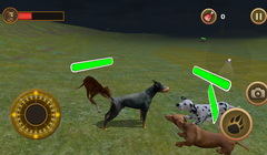 Hóa ra cuộc đời của loài chó cũng chẳng khác nào một tựa game