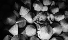 Chủ đề được Roughguides lựa chọn trong tháng này là hoa văn tạo nên nhờ các yếu tố lặp đi lặp lại. Bức ảnh chụp một phụ nữ lớn tuổi đang say sưa làm nón được ghi lại bởi JetHuynh, ở TP HCM.