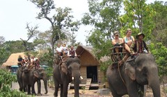 Bản Đôn mà không có voi thì coi như không còn là huyền thoại