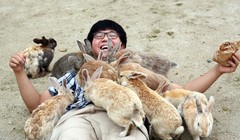 Cậu bé thích thú nằm xuống để các con thỏ quây quanh - Ảnh: Paul Brown/Daily Mail