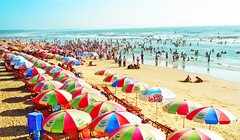 Tour du lịch trong ngày đang là sự lựa chọn  của nhiều gia đình trong dịp nghỉ lễ 2/9