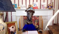 Bài phát biểu của Nữ hoàng : Rupert xúng xính trong trang phục đẹp, đầu đội vương miện, đeo dây chuyền ngọc trai ngồi trước bàn làm việc.