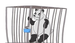 Trung Quốc đang rơi vào thế tiến thoái lưỡng nan trong vụ kiện biển Đông