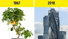 Ảnh minh họa (theo Brightside)