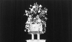 Ảnh minh họa (Theo Thisisinsider)