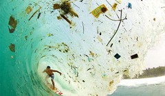 Ảnh minh họa (Theo Brightside)