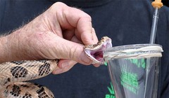 Ảnh minh họa (theo Brightside)