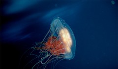 Ảnh minh họa (theo Brightside)