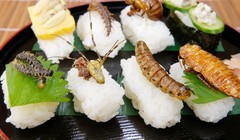 Côn trùng đang trở thành đặc sản tại Thái Lan. Ảnh: CNA